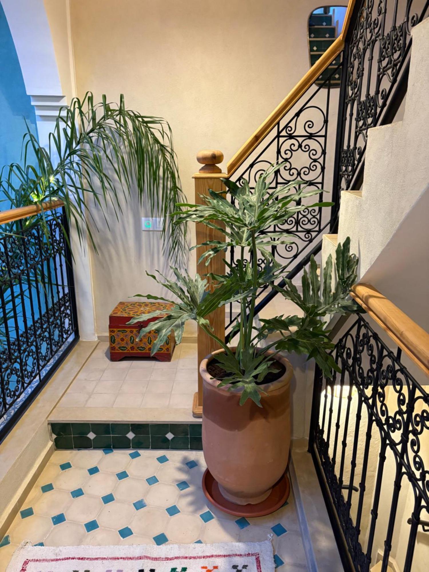 Riad212 Private Medina Fast Wi-fi Plunge Pool 度假居